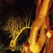 Echo & The Bunnymen - Source: www.last.fm/