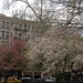 Tompkins Square Park - Source: www.nycgovparks.org