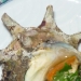 Ushiwakamaru - Source: www.reallygoodfood.org