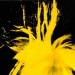 Andy Warhol - Source: www.toffsworld.com