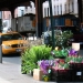 Astoria, Queens - Source: www.flickr.com/photos/johnandketurah/