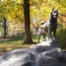 Central Park - Source: www.bridgeandtunnelclub.com