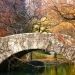 Central Park - Source: www.flickr.com/photos/specialagent/