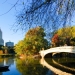 Central Park - Source: www.flickr.com/photos/8494974@N06/