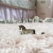 HIRAKI SAWA - Source: www.jamescohan.com