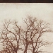 Fox Talbot - Source: images.businessweek.com