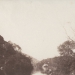Fox Talbot - Source: www.moma.org