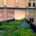 Highline - Source: www.flickr.com/photos/bettyx1138/