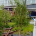 Highline - Source: www.flickr.com/photos/bettyx1138/