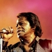 James Brown - Source: www.pollsb.com
