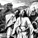 King David - Source: endtimepilgrim.org
