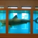 The New York Aquarium - Source: www.flickr.com/photos/loop_oh/