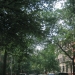 Park Slope - Source: www.brooklyntheborough.com