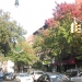 Park Slope - Source: www.streetsblog.org