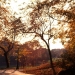Park Slope - Source: www.flickr.com/photos/yourdon/