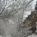 Park Slope - Source: www.city-data.com