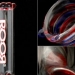 Roor - Source: www.clockworkmichael.com