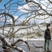 Roxy Paine Working on 