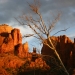 Sedona - Source: www.flickr.com/photos/gavinmroy/