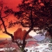 Sedona - Source: www.sedonakathy.com