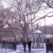 Tompkins Square Park - Source: www.rockvillect.com