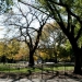 Tompkins Square Park - Source: www.i.pbase.com