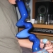 Zong - Source: www.forum.grasscity.com